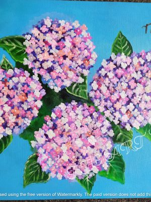 Hydrangea Acrylic colour